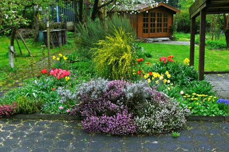 Blumenbeet im Frühling